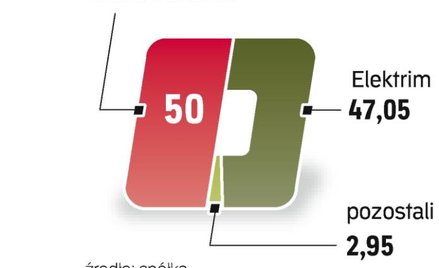 Choć Elektrim jest mniejszościowym udziałowcem ZE PAK, sprawuje nad nim kontrolę operacyjną.