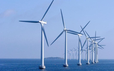 Budowa morskich farm wiatrowych: nowe zasady wsparcia i postępowań offshore