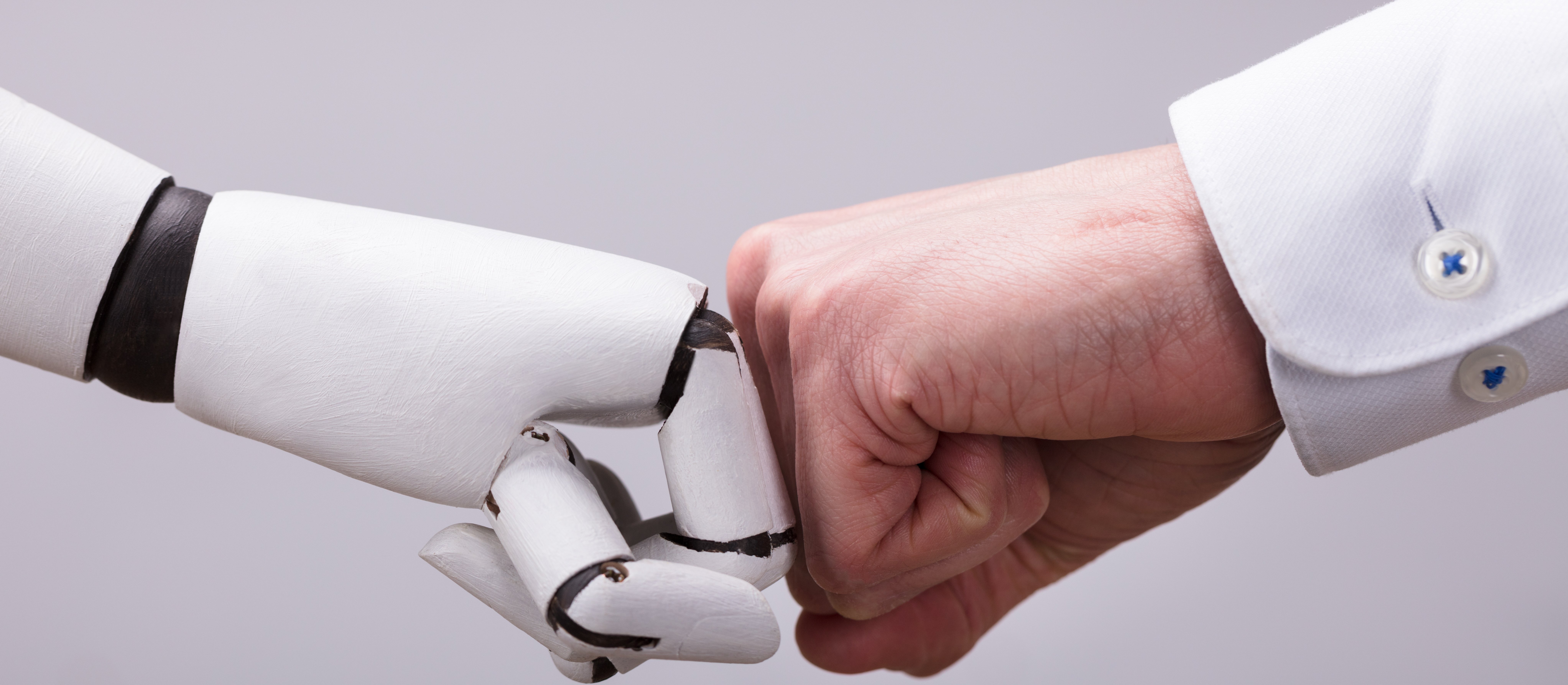 Polski robot rzuci wyzwanie chińskim gigantom. niedługo zawalczy na ringu w Shenzhen