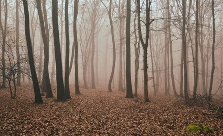 Czechy: Po dwóch dniach odnaleziono ośmiolatkę, która zaginęła w górach
