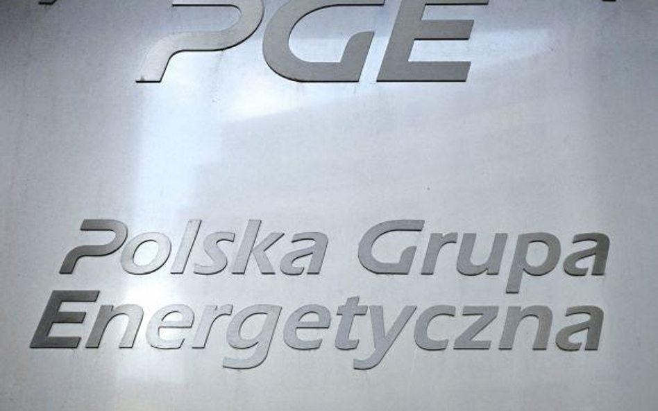 Akcje PGE na 90 proc. znajdą się w indeksie największych spółek z warszawskiej giełdy WIG20 dopiero 