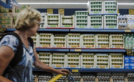 Biedronka i Lidl walczą na ceny jajek