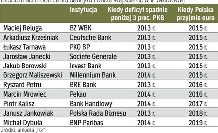 Najwięksi pesymiści uważają, że euro to pieśń przyszłości. Nawet gdyby tak miało być, polska gospoda
