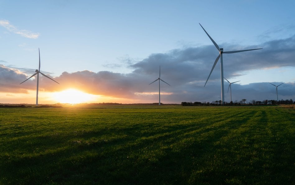 Jednym z ważniejszych transakcji 2025 r. był zakup przez firmę Enea Nowa Energia farm wiatrowych od 