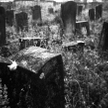 Kirkut, który odwiedzają sataniści
