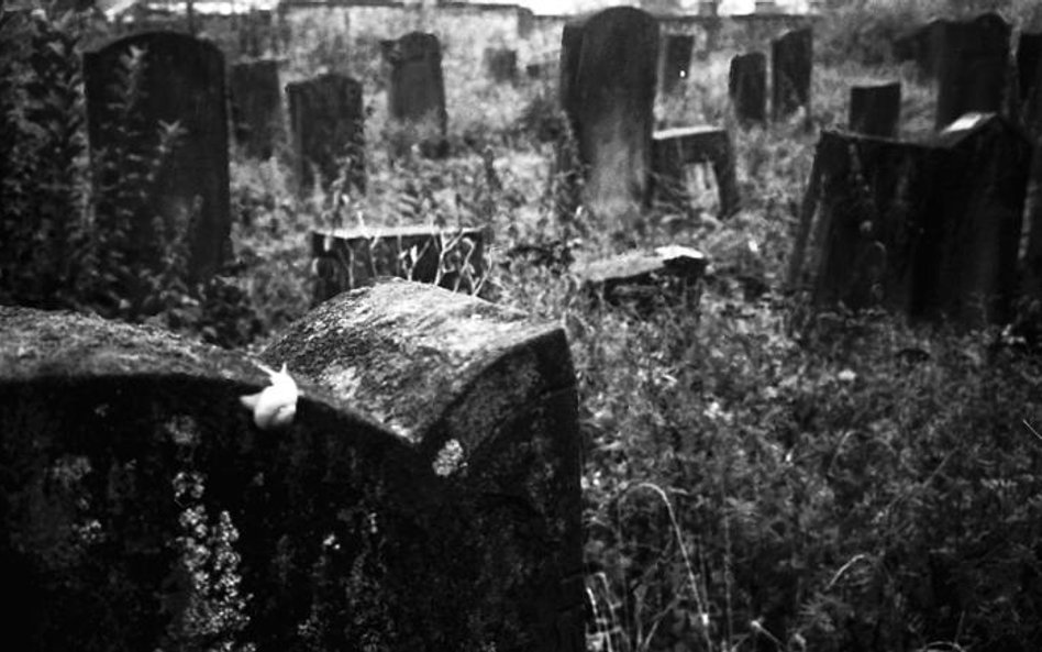 Kirkut, który odwiedzają sataniści