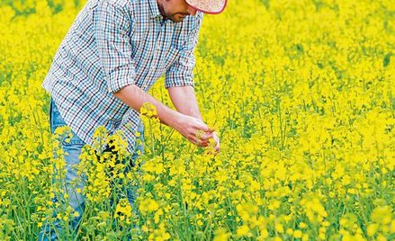 Podczas Kongresu Biogospodarki region będzie się chwalił m.in. osiągnięciami firmy Napiferyn Biotech