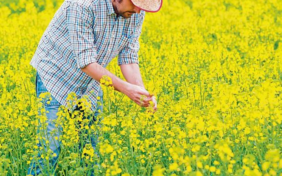 Podczas Kongresu Biogospodarki region będzie się chwalił m.in. osiągnięciami firmy Napiferyn Biotech