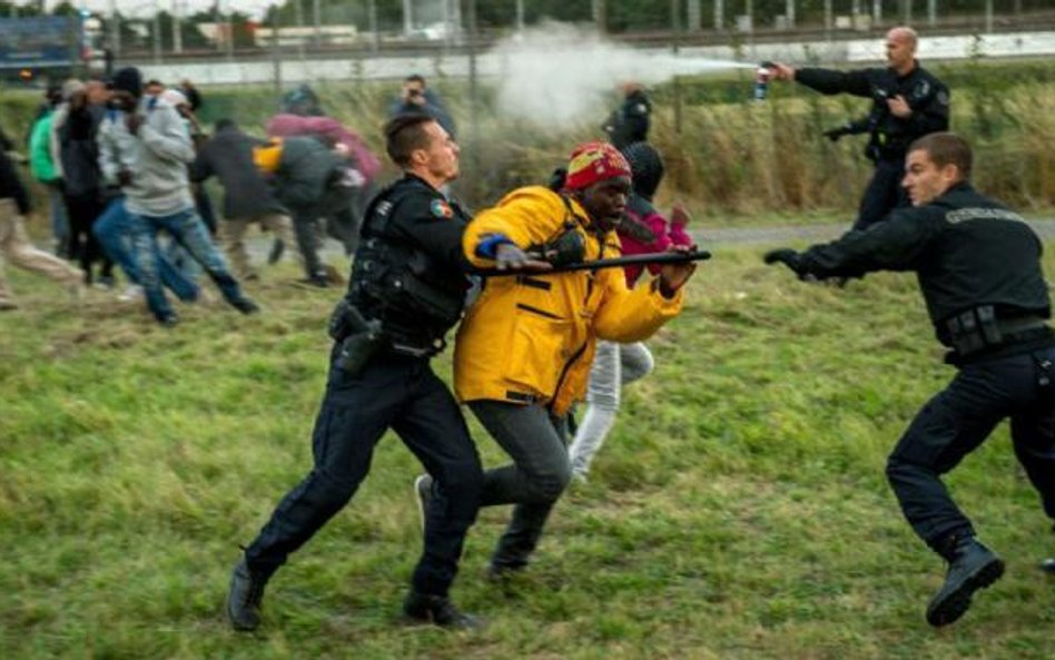 Okolice Calais. Francuscy funkcjonariusze kontra nielegalny imigrant