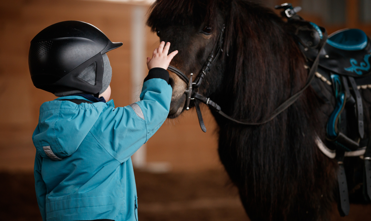 Copiii nu vor mai călăre ponei la Paris.  „Animalele nu sunt jucării”