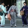 Polski len rusza do Japonii