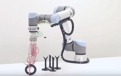 Najdelikatniejszy robot na świecie. Wciąż szukają dla niego nazwy