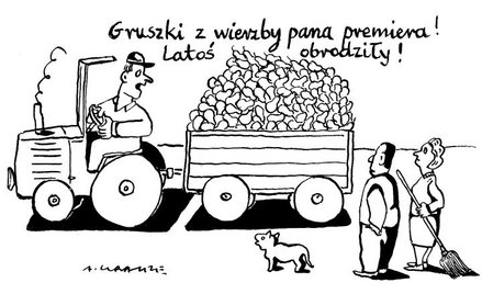 Rysuje Andrzej Krauze