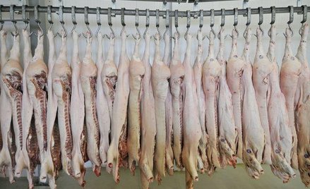 Świńska górka posłała akcje Smithfielda w dół