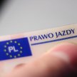 Prawo jazdy
