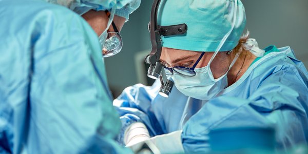 Rekordowy rok dla transplantacji w Polsce