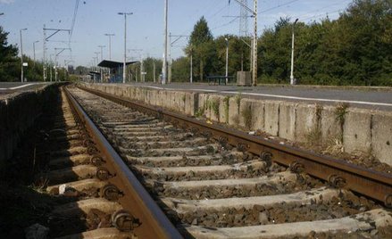 Na przyszły rok Trakcja Polska ma już zakontraktowane prace na około 400 mln zł.