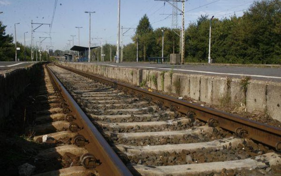 Na przyszły rok Trakcja Polska ma już zakontraktowane prace na około 400 mln zł.