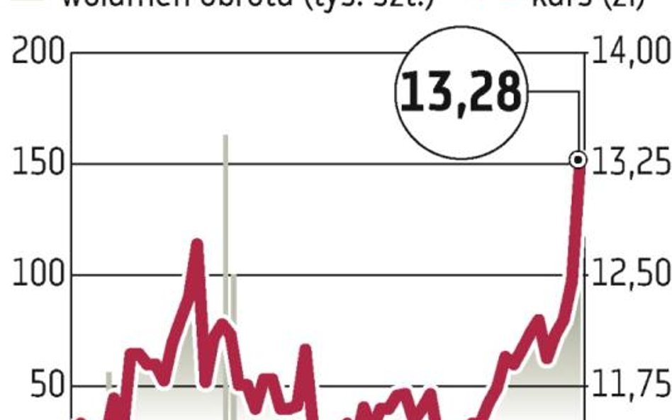 80 mln zł na fundusz dywidendowy TIM