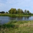 Park Narodowy Doliny Dolnej Odry ma chronić jeden z najcenniejszych przyrodniczo obszarów w Polsce