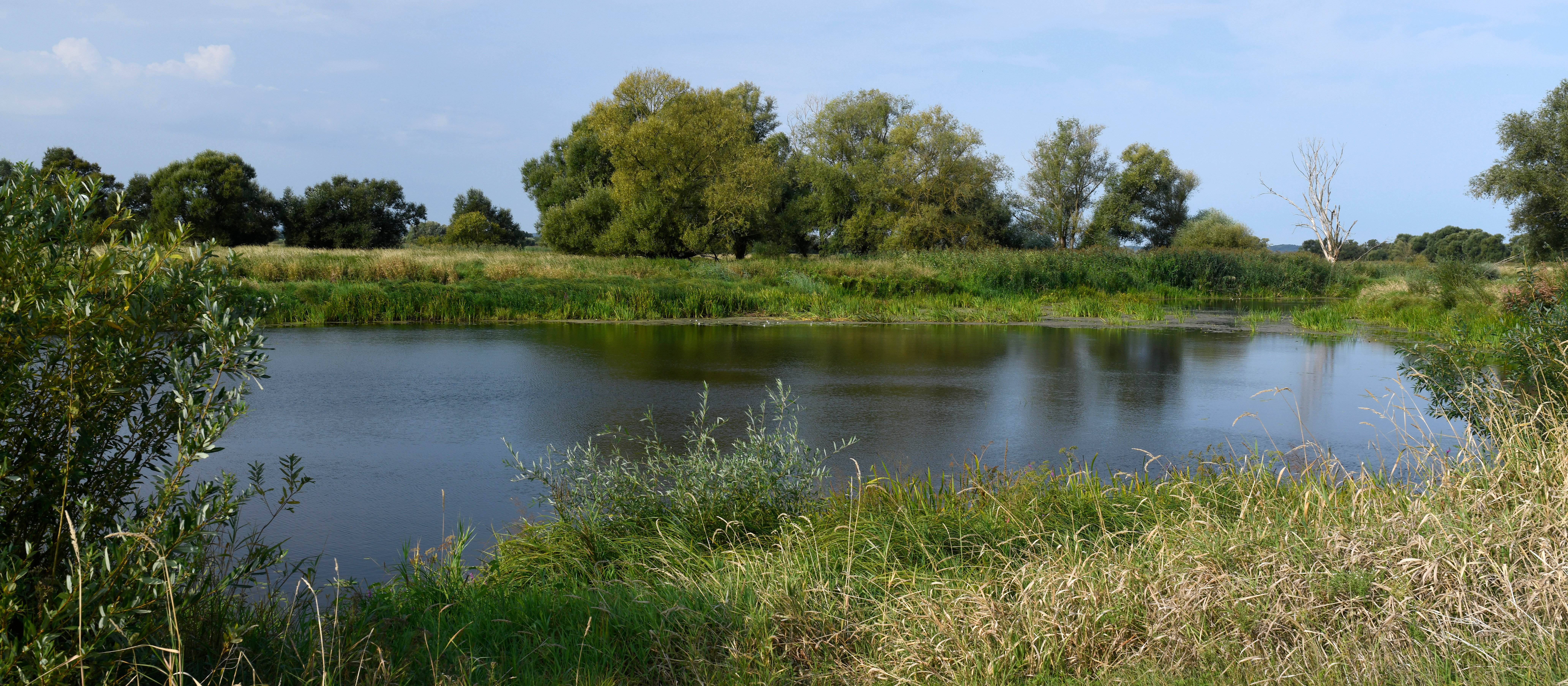 Park narodowy na terenach Międzyodrza. To zysk czy koszty dla regionu?