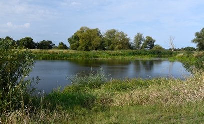 Park Narodowy Doliny Dolnej Odry ma chronić jeden z najcenniejszych przyrodniczo obszarów w Polsce
