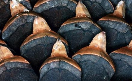 Za sztuką kryje się naukowy wzór