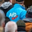 AfD zanotowała historyczny wynik w sondażu INSA