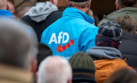 AfD zanotowała historyczny wynik w sondażu INSA