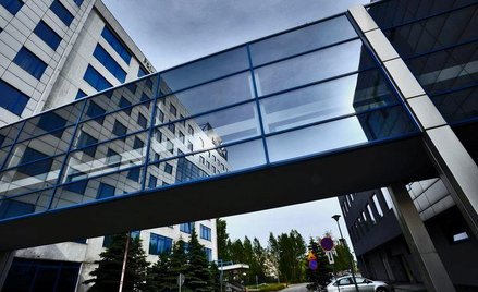 Tauron: Wysoki kurs i obroty