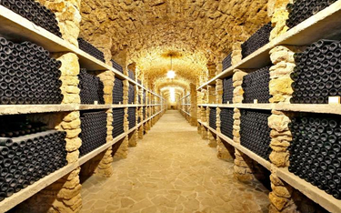 ?Za kilkadziesiąt tys. euro rocznie można wynająć średniowieczną piwnicę i przechować w niej wino
