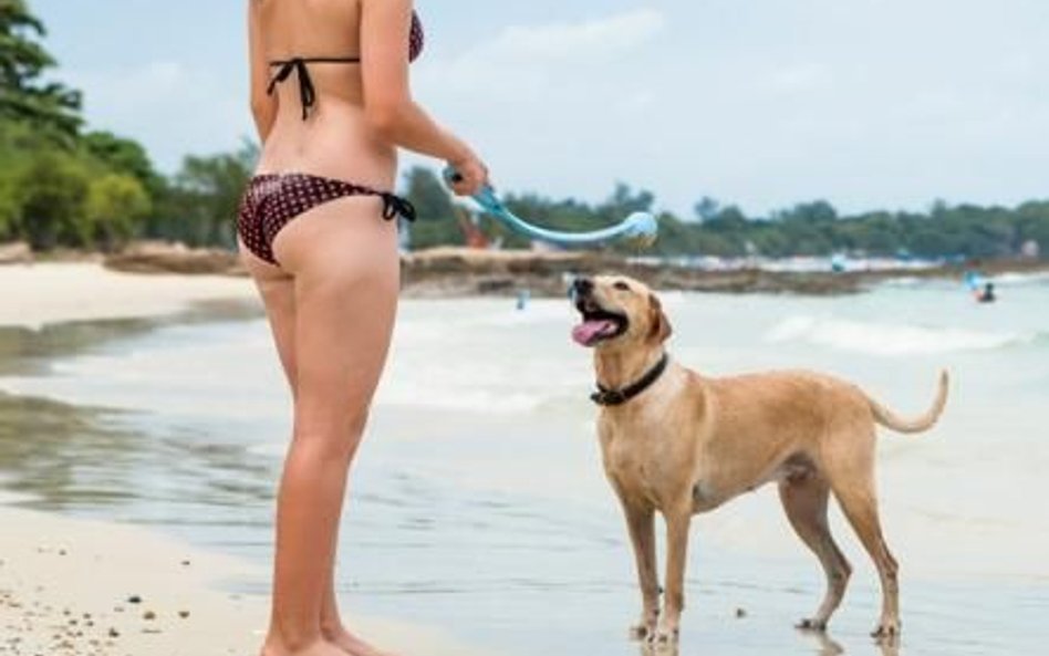 Właściciele psów twierdzą, że na plażach, na których można się pojawić z czworonogiem, jest czyściej