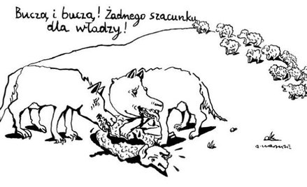 Komentarz rysunkowy. Brak szacunku dla władzy
