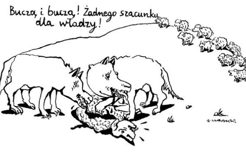 Komentarz rysunkowy. Brak szacunku dla władzy