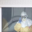 Ebola - czy epidemia gorączki krwotocznej dotrze do Europy i USA?