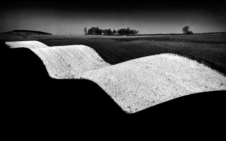 Paweł Pierściński, „Krajobraz falisty”, 1958, seria „Geometria Krajobrazu” z cyklu „Portret Ziemi Ki