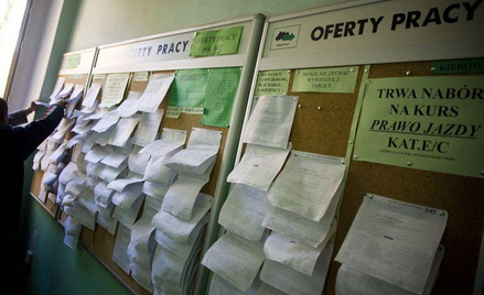 Jesień lepsza dla szkoleniowców, gorsza dla informatyków