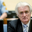 Karadžić zabierze głos podczas przesłuchania apelacyjnego