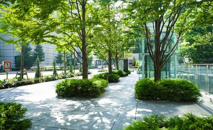 Nakłady na poprawę otoczenia nieruchomości wyłączone z kosztów