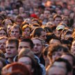 Istnieje już 18 mln kont w serwisach typu Nasza-Klasa czy Facebook założonych przez Polaków