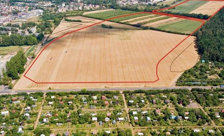 Zagospodarowanie przestrzenne: o przeznaczeniu terenów rozstrzyga gmina