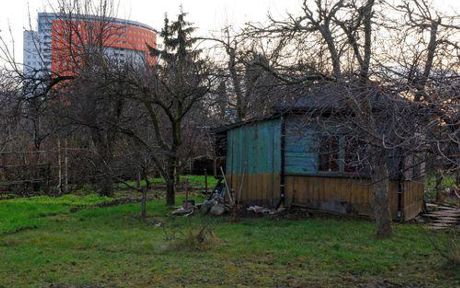 Decyduje liczba altan, a nie powierzchnia działki