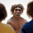 Przedstawiciele gatunku Homo sapiens oglądają model swego neandertalskiego krewniaka