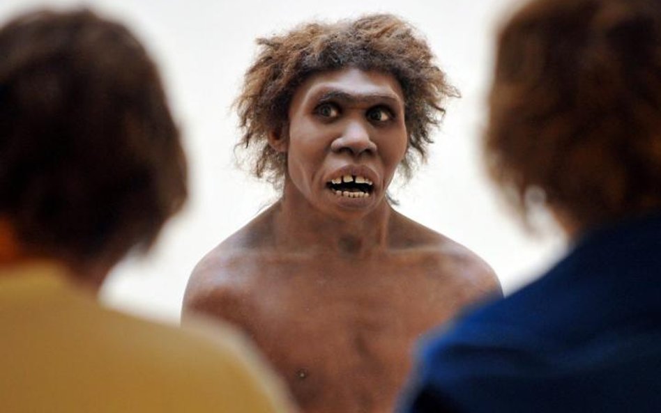 Przedstawiciele gatunku Homo sapiens oglądają model swego neandertalskiego krewniaka