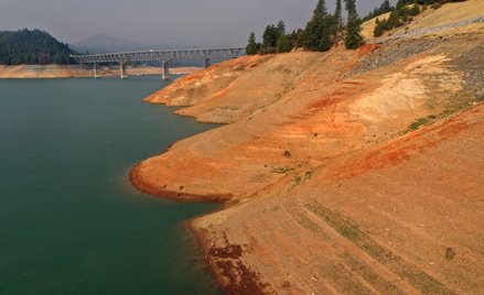 Susza w Kalifornii. Gubernator prosi: Używajcie mniej wody