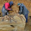 Szkielet zwierzęcia znajdował się na głębokości dwóch metrów