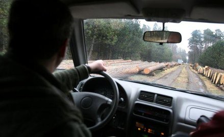 Nadleśnictwo może odliczać VAT od wydatków na auta