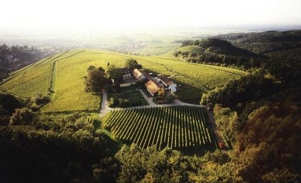 Winnica w okolicy Baden-Baden (Niemcy); Cena: 14,8 mln EUR; źródło: Christie’s International Real Es