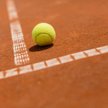 Turniej ATP w Sofii: Fyrstenberg odpadł w półfinale debla