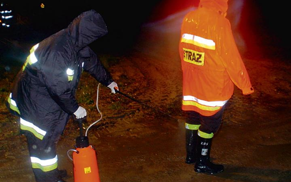 Skażone mięso trafiło do sklepów